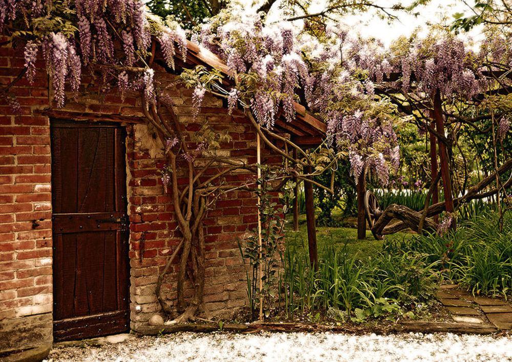 Agriturismo Il Gioco Dell'Oca Barolo Exterior photo